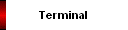 Terminal